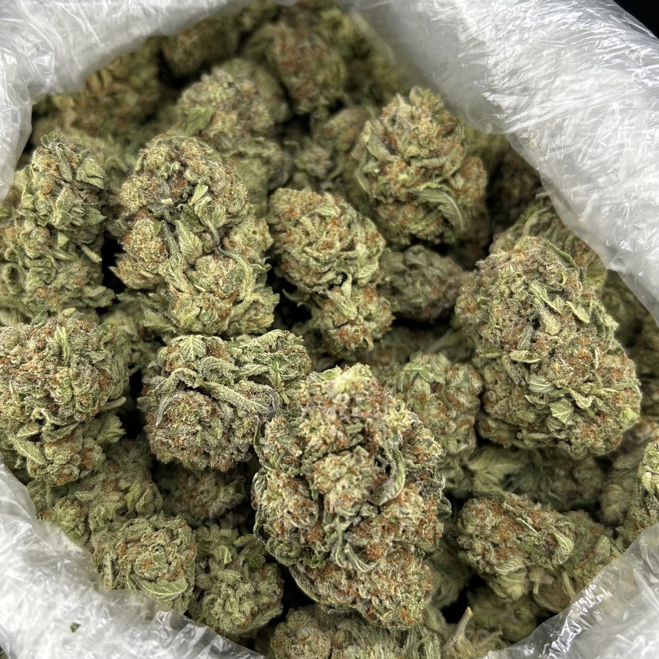 Gelato Berry Bomb ZUP#4332