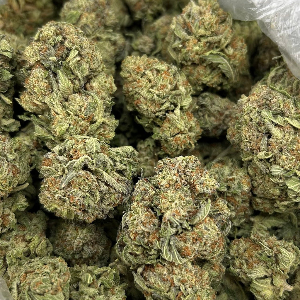 Gelato Berry Bomb ZUP#4332