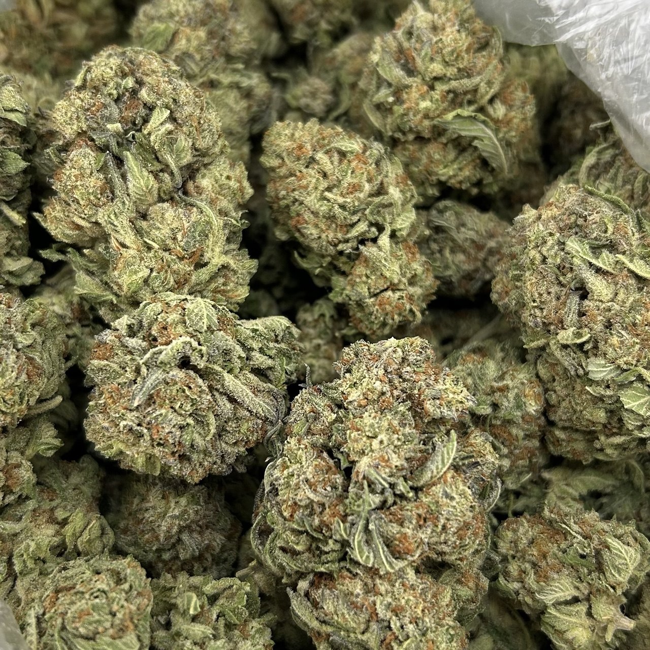 Gelato Berry Bomb ZUP#4332