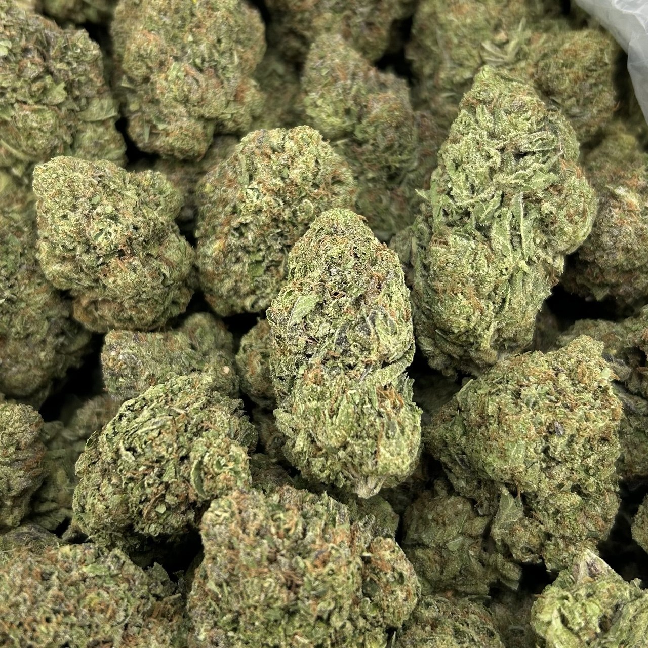 Cherry Deluxe ZUP#4334