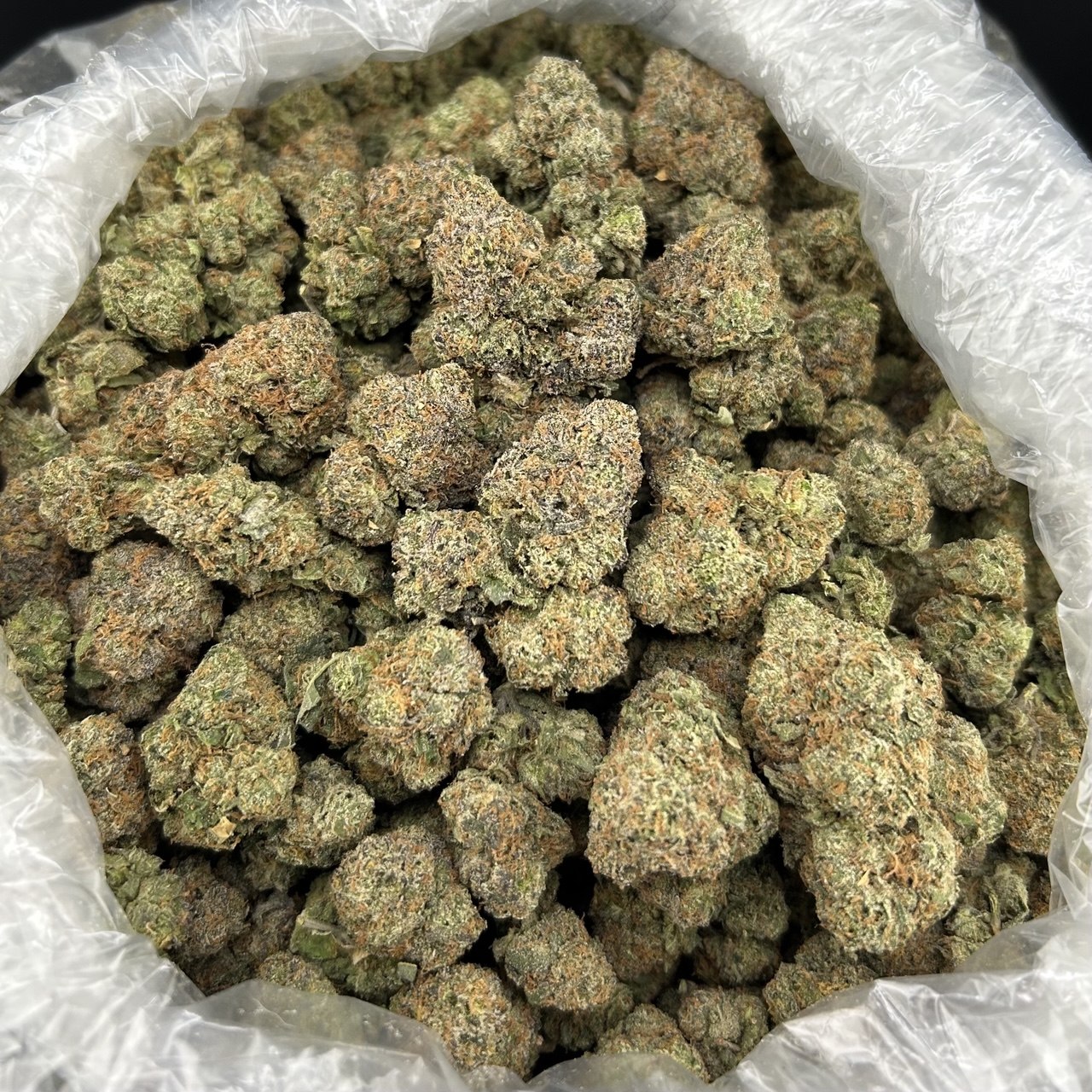 Rainbow Zour Beltz ZUP#4336