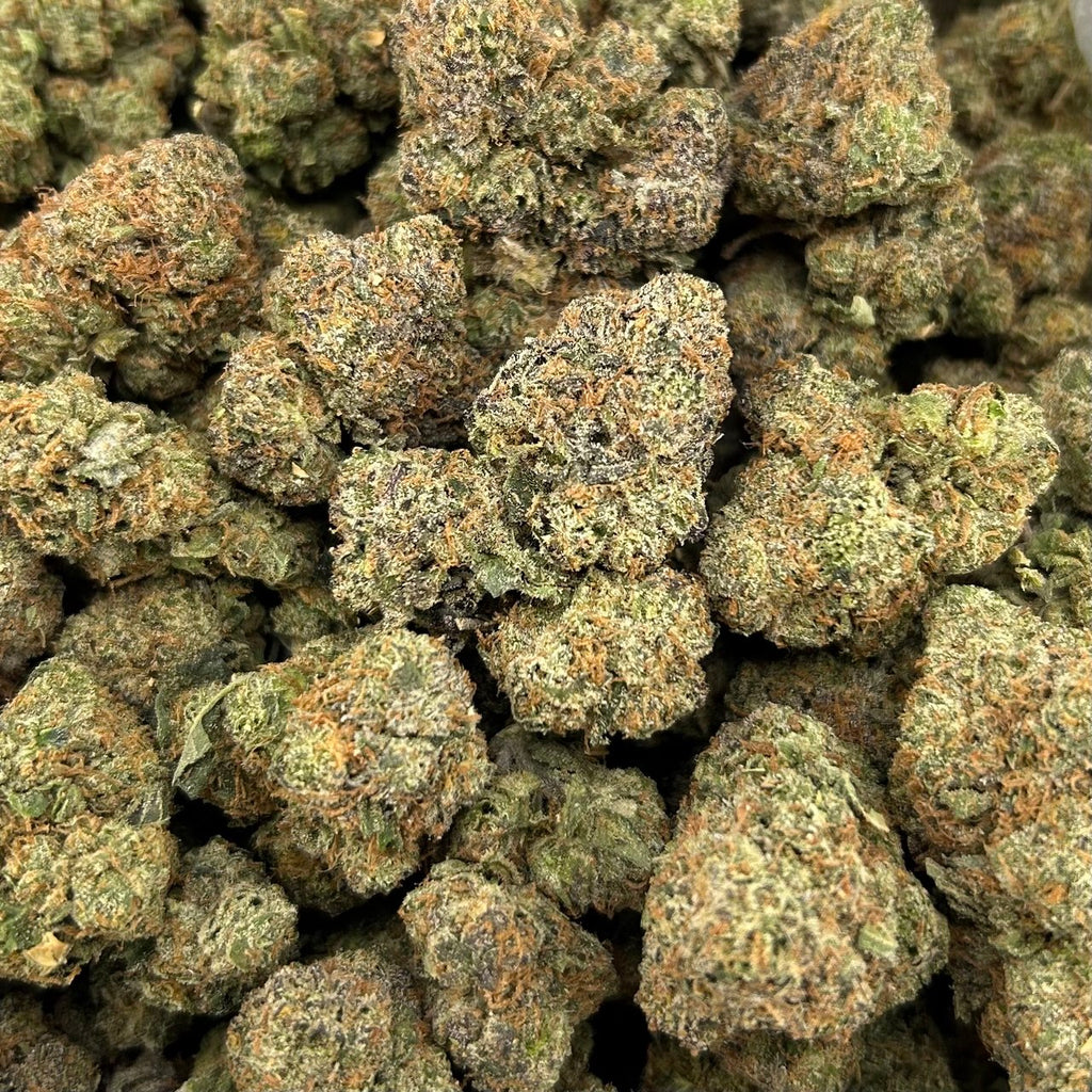 Rainbow Zour Beltz ZUP#4336