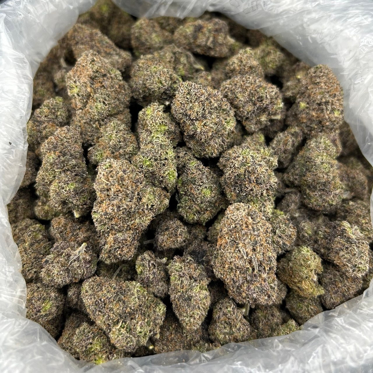 Dragonberry Runtz ZUP#4338