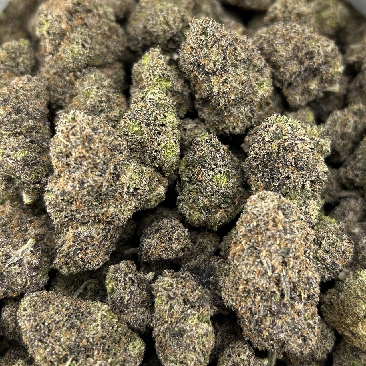 Dragonberry Runtz ZUP#4338