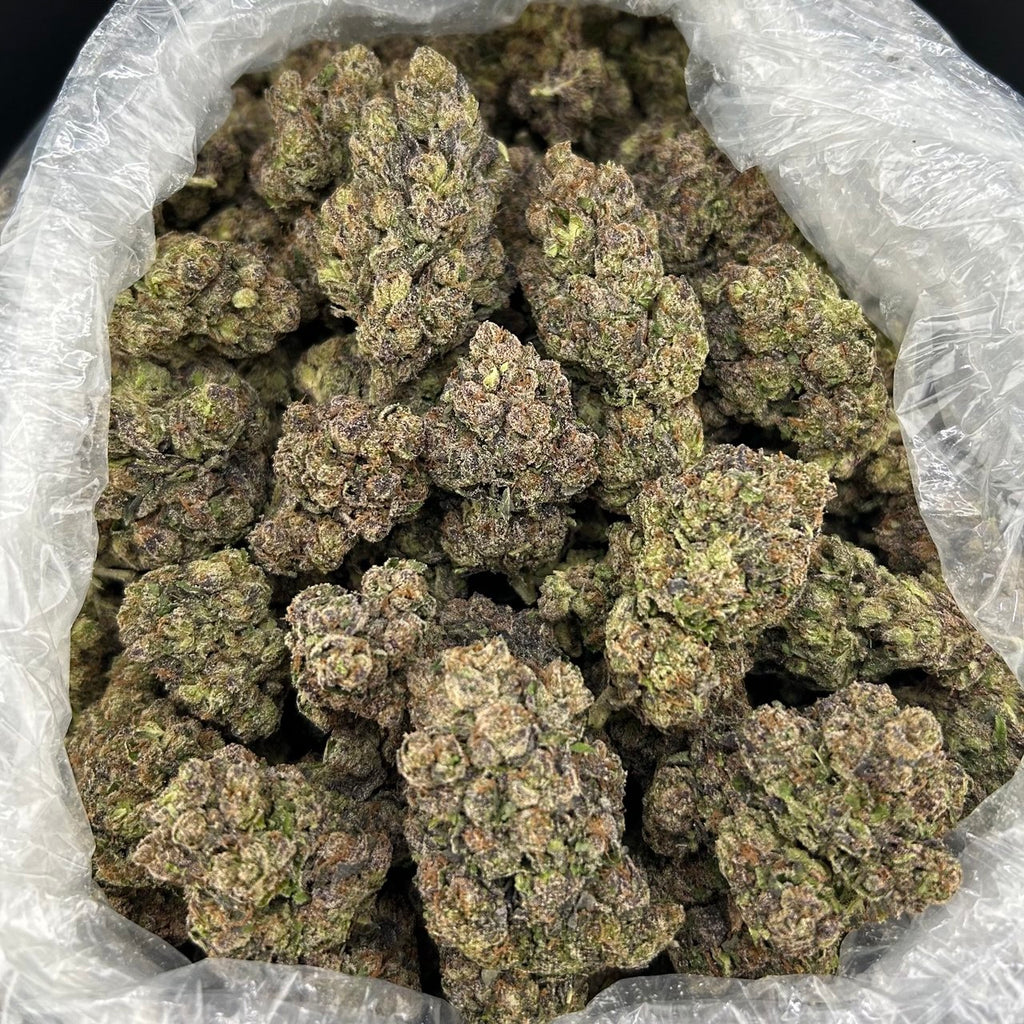 Black Cherry Garcia ZUP#4343