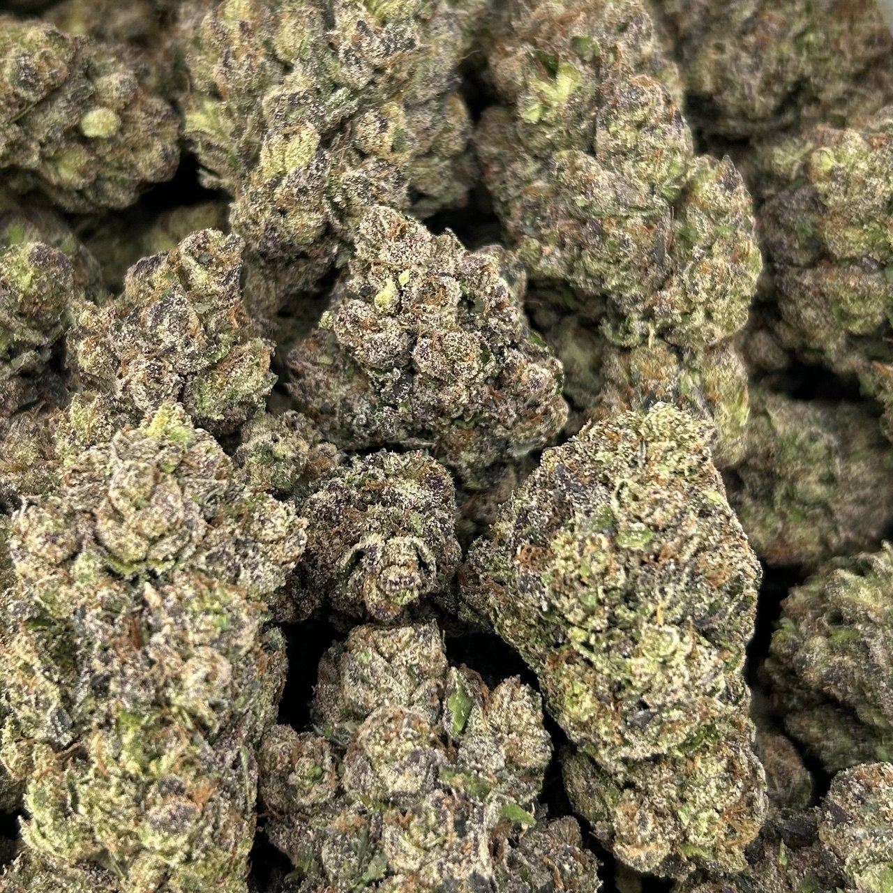 Black Cherry Garcia ZUP#4343