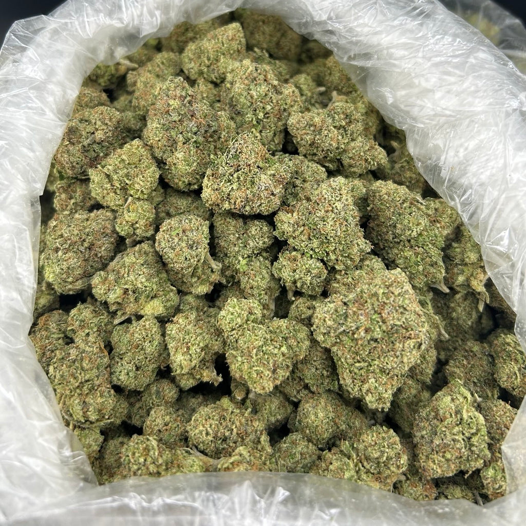 Buss Down Cherries ZUP#4351