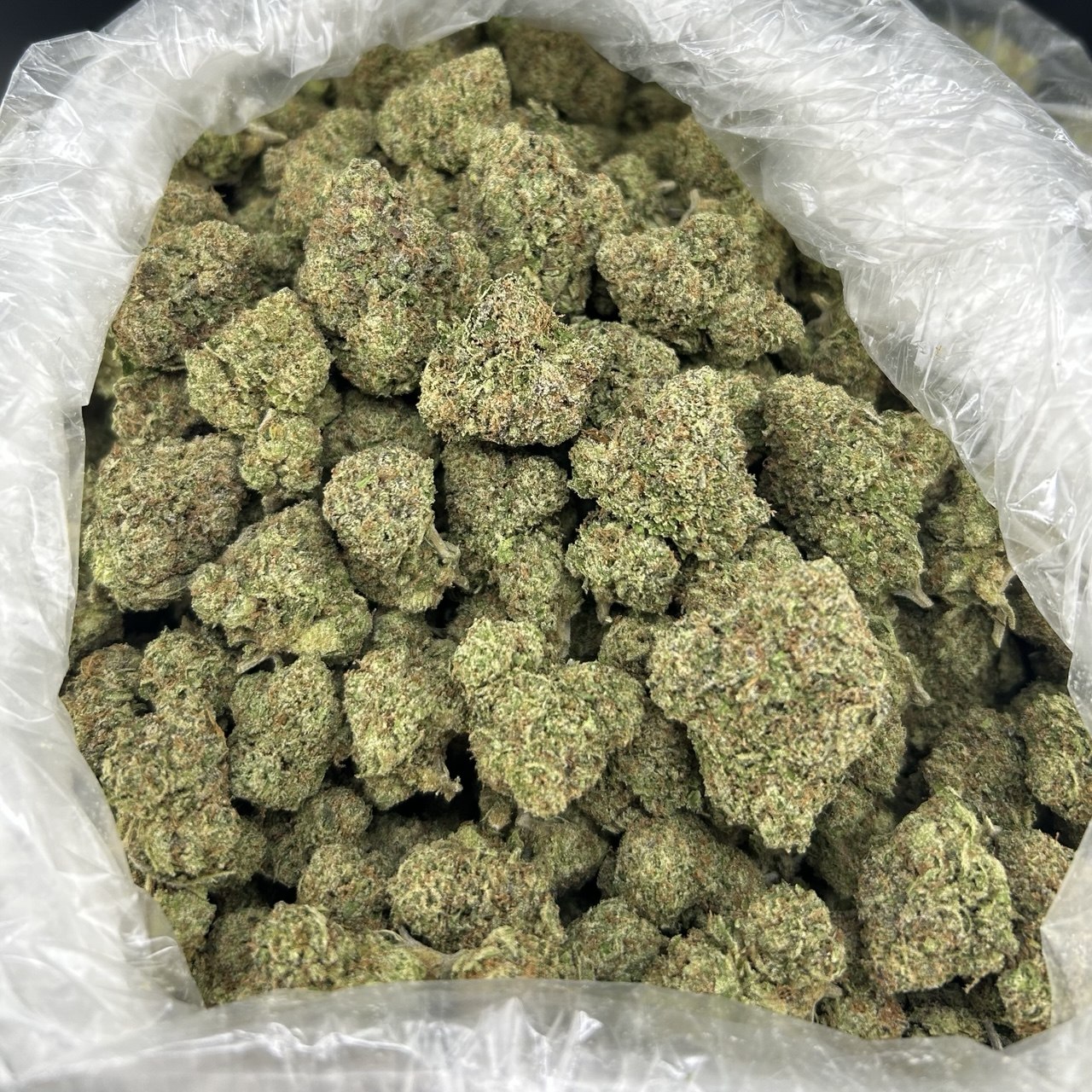 Buss Down Cherries ZUP#4351