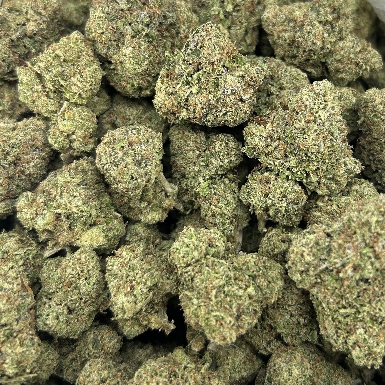 Buss Down Cherries ZUP#4351