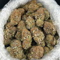 Hubba Bubbas ZUP#4352