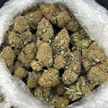 Hotshot Bubbas ZUP#4354