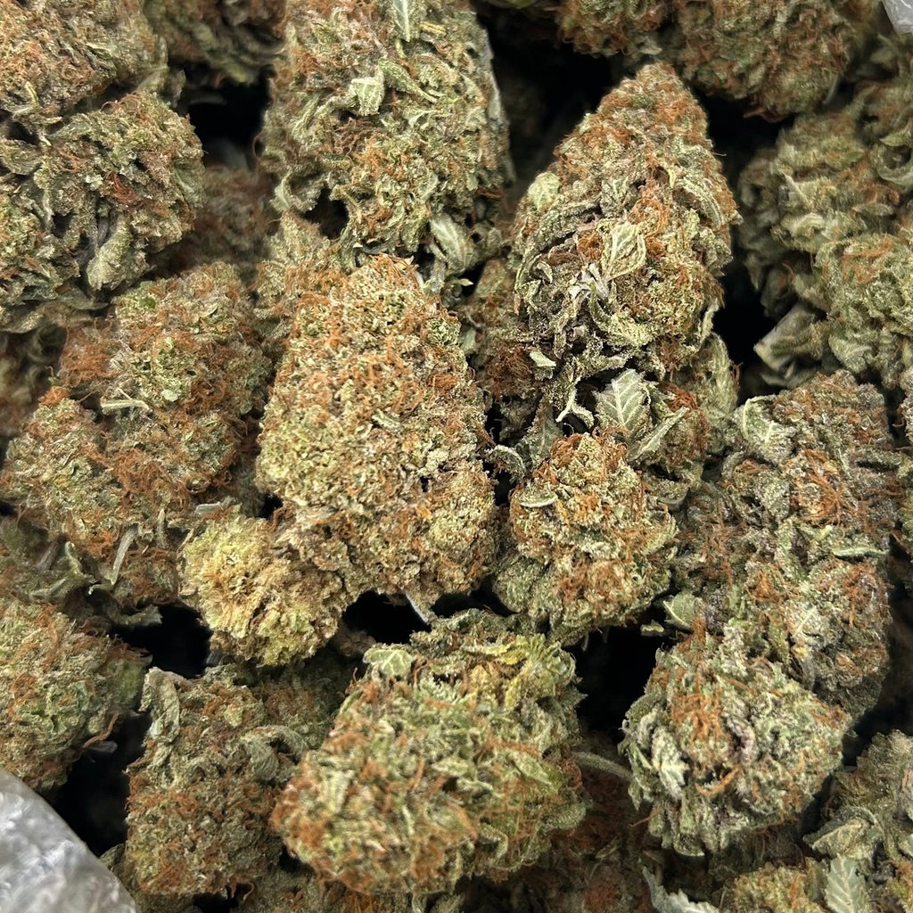 Hotshot Bubbas ZUP#4354