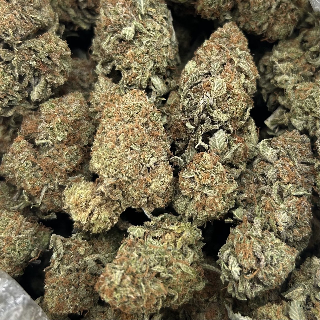 Hotshot Bubbas ZUP#4354