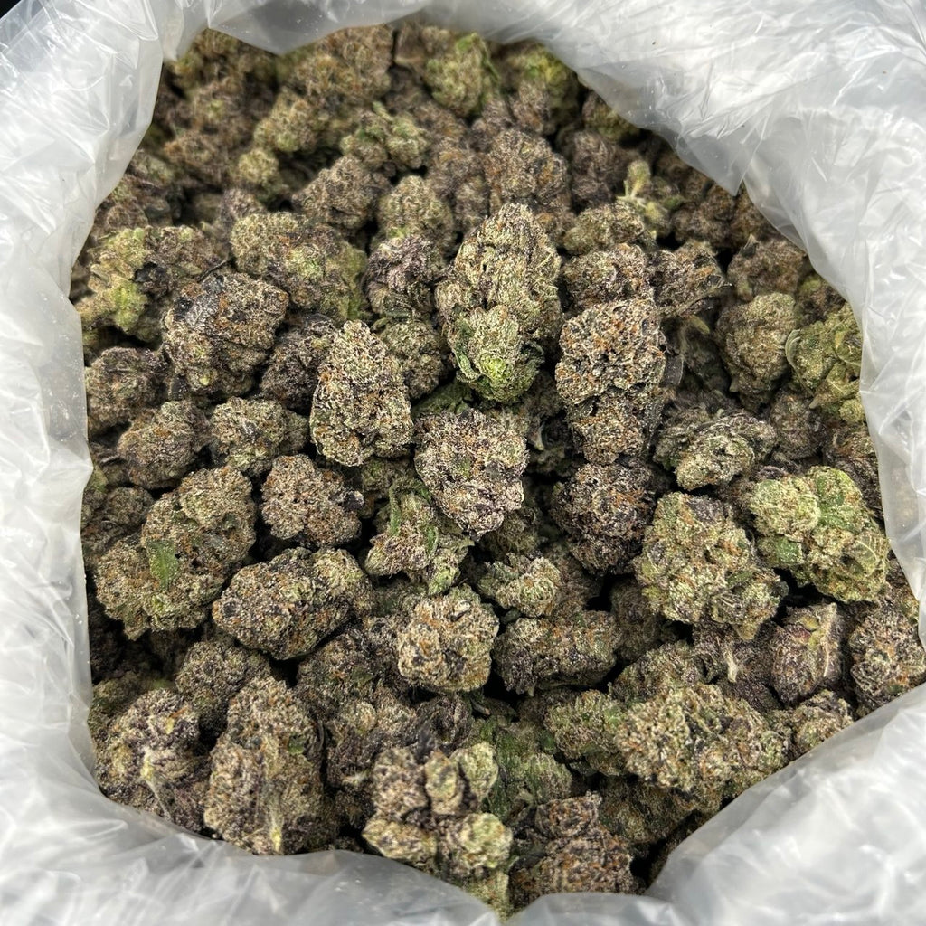 Nerd Candy ZUP#4356