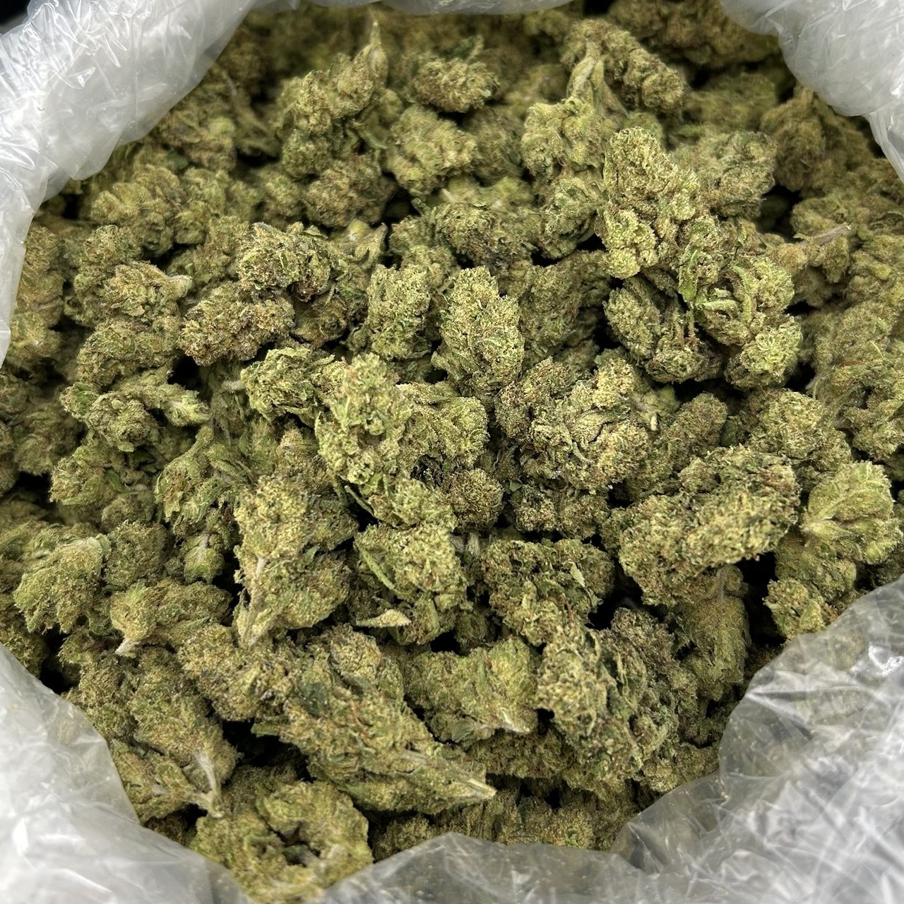 Guava Gummiez ZUP#4365