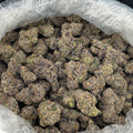 Tropical Sugar Runtz ZUP#4370