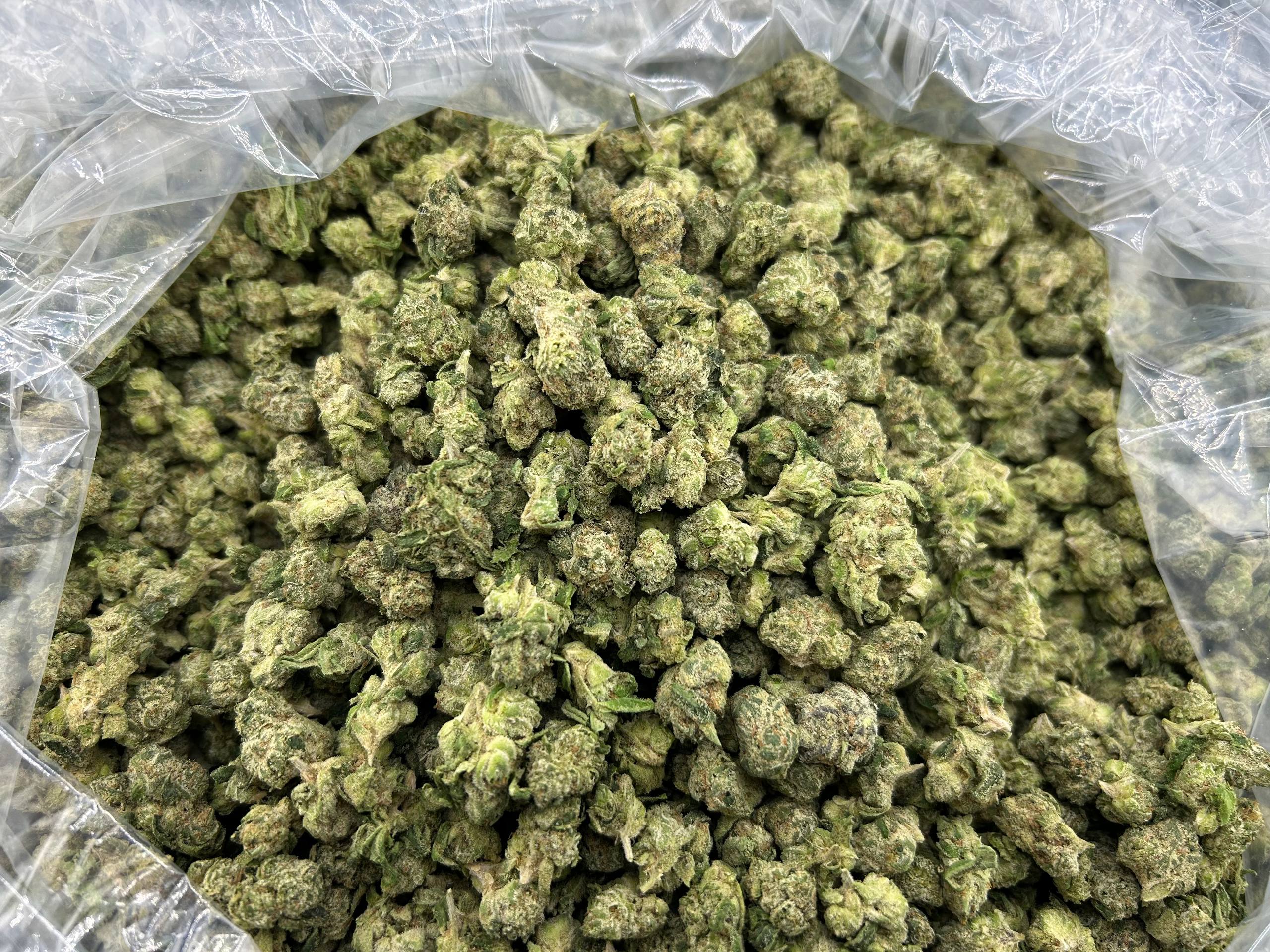 BACIO GELATO SMALLS ZUP#4403