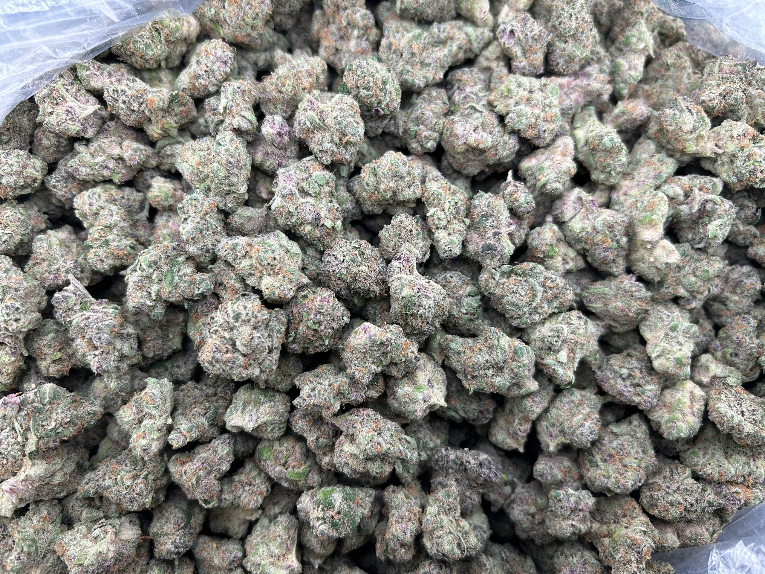 SPACE BOMB ZUP#4404