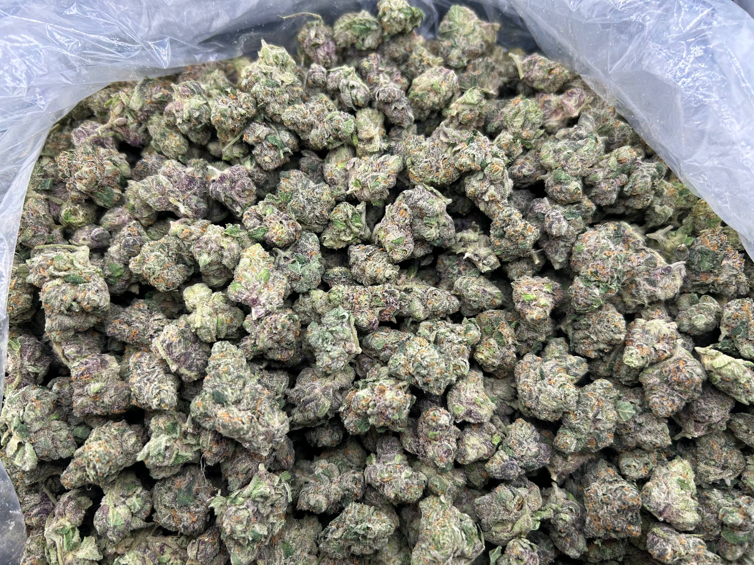 SPACE FUEL GELATO ZUP#4408