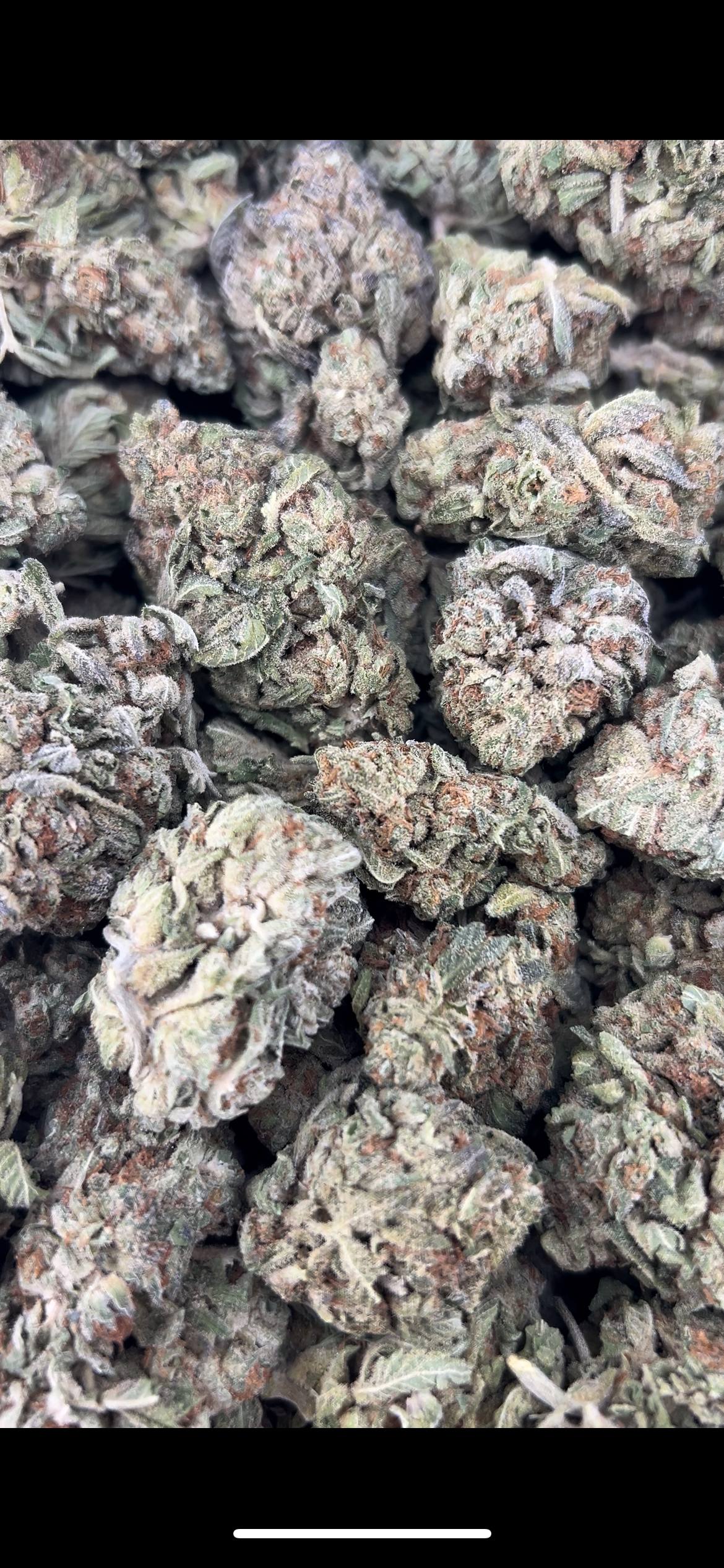 MOONLIT GELATO ZUP#4417