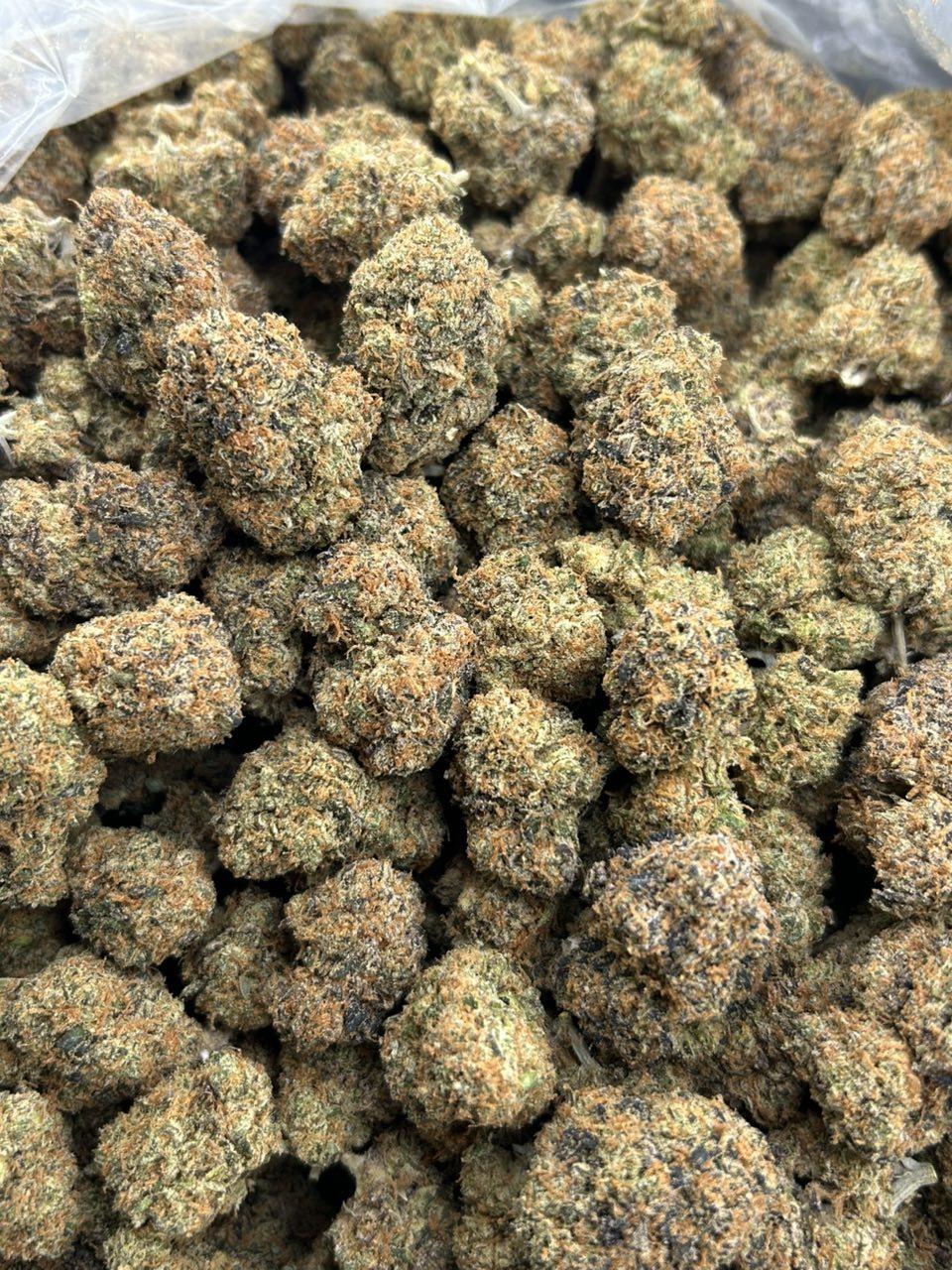ZOUR ZKITTLEZ ZUP#4422