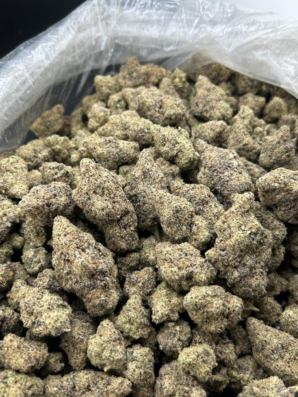 OBSIDIAN RUNTZ ZUP#4423