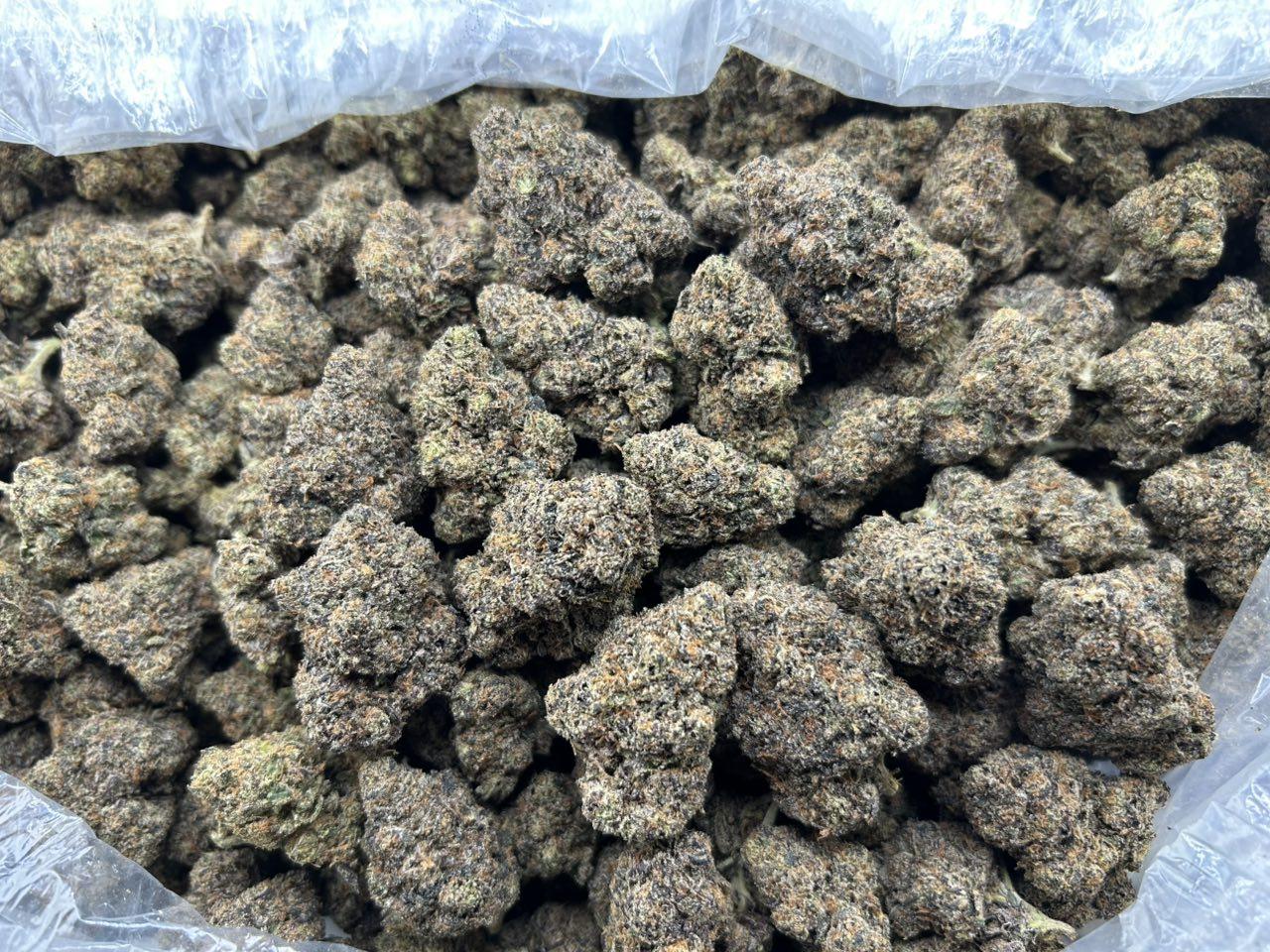 VELVET CHERRIES ZUP#4424