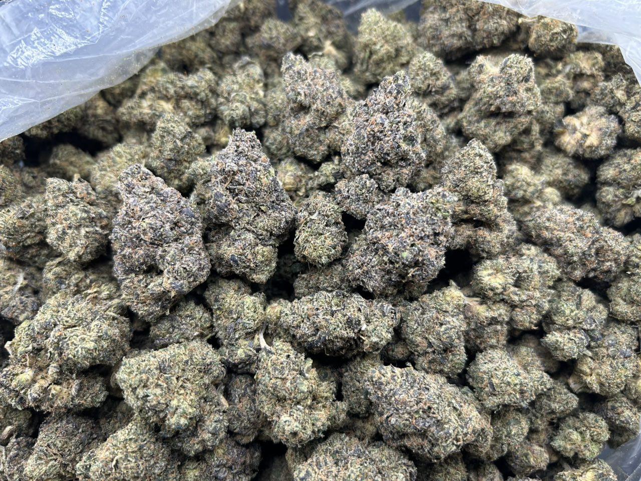 DURBAN BERRY ZUP#4425