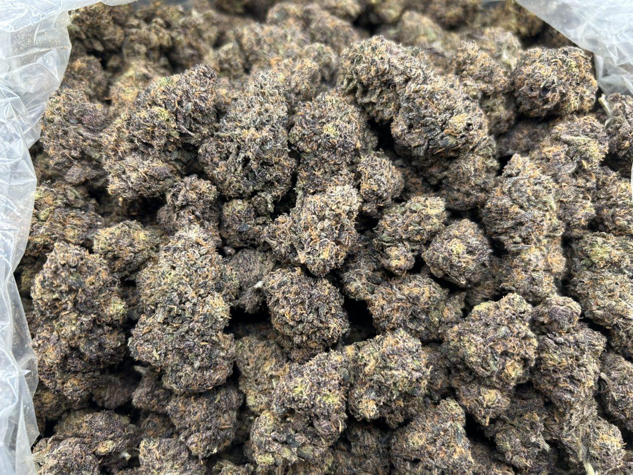 PURPLE BERRY CREAMSICLE ZUP#4427