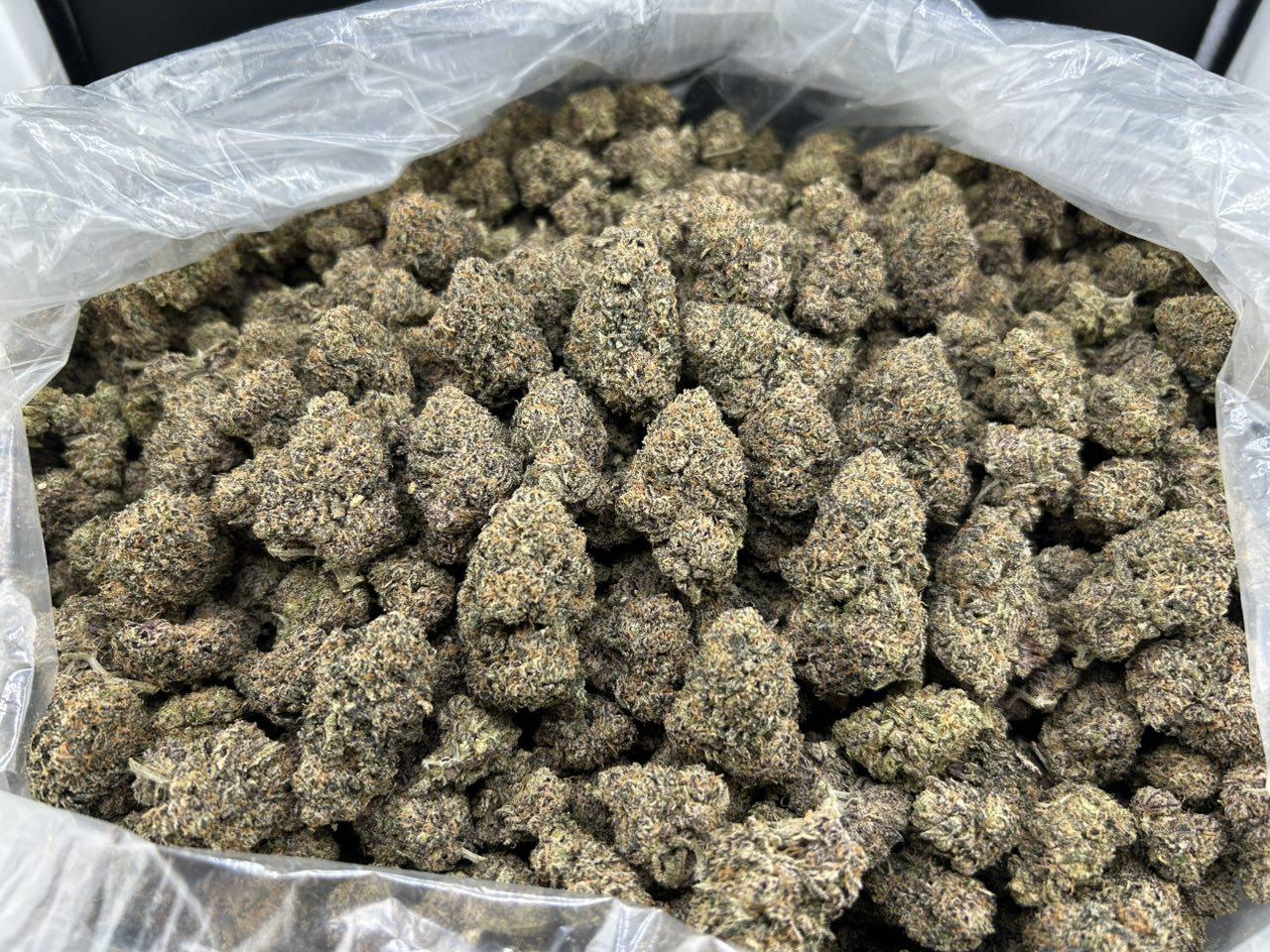 GALAXY CHEWS ZUP#4428