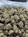 POLAR GELATO ZUP#4429