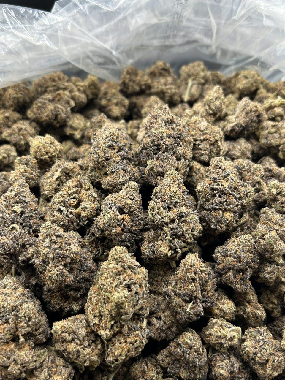 TRIPLE BERRY FROST ZUP#4430