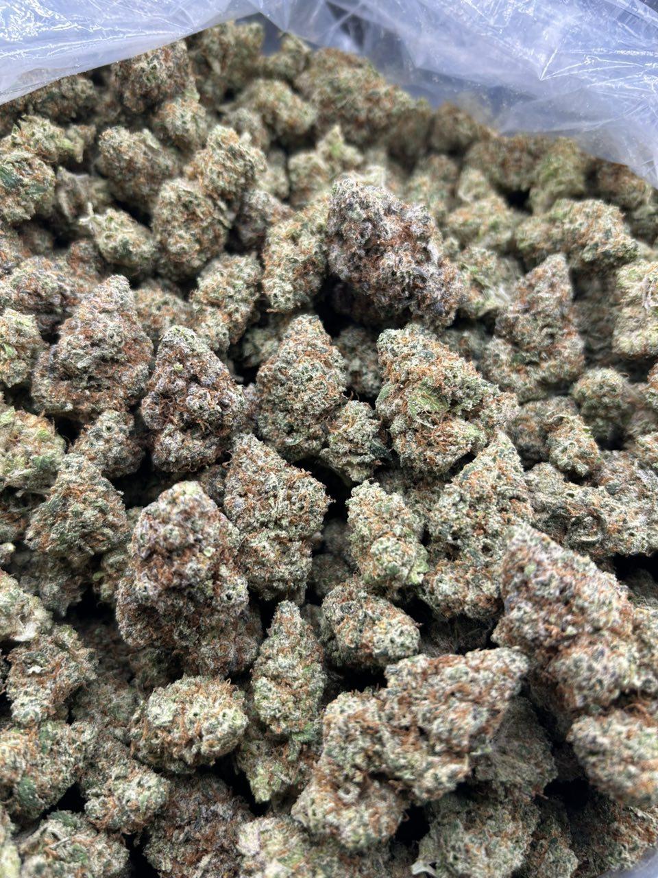 CHERRY SWIRL ZUP#4436