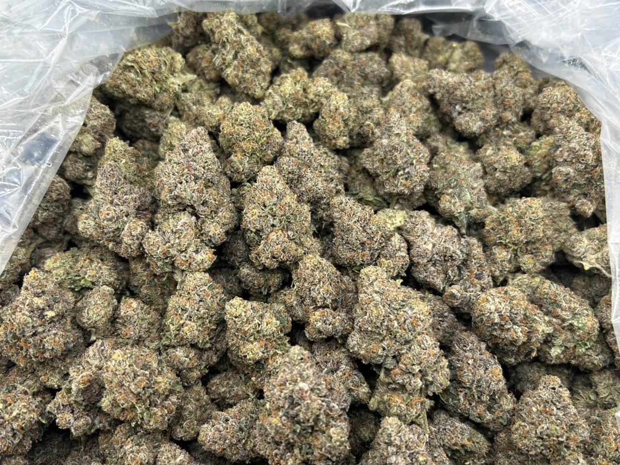 CAP'N CRUNCH BERRIES ZUP#4439