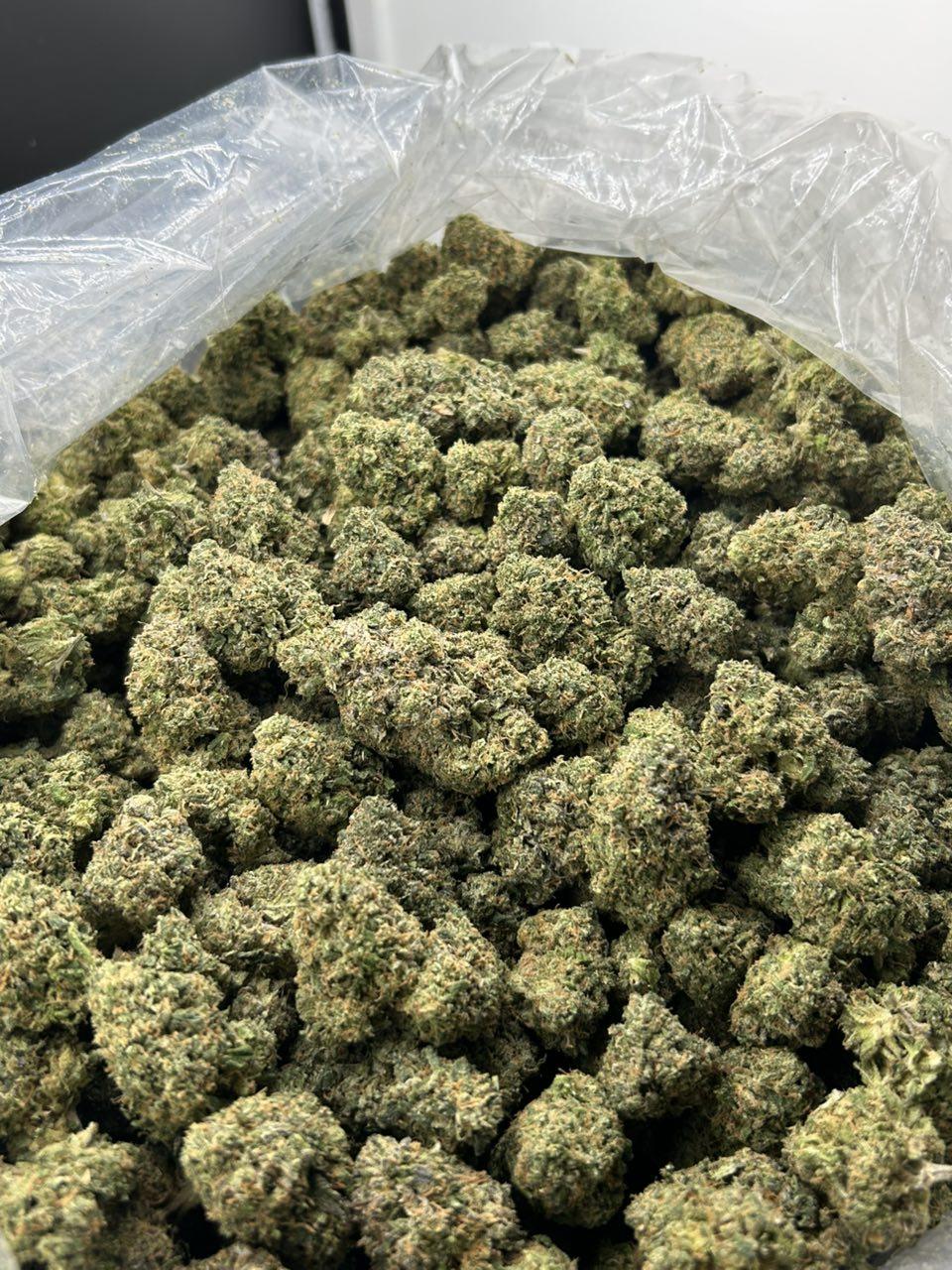 DIAMOND GELATO ZUP#4443