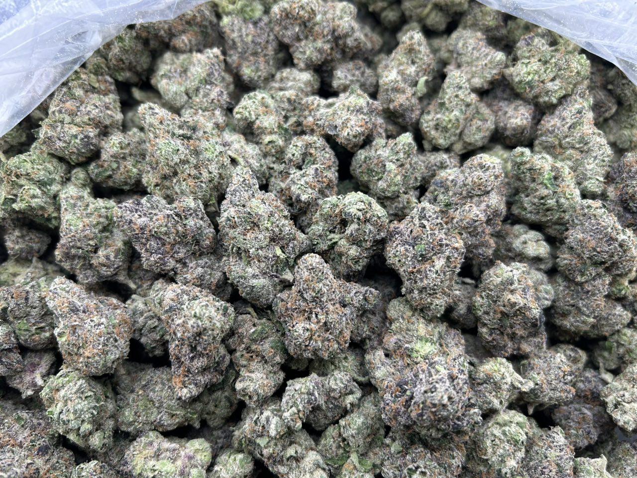 GLACIER CANDY DELUXE ZUP#4446