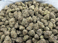BLUE CHERRY NERDZ ZUP#4447