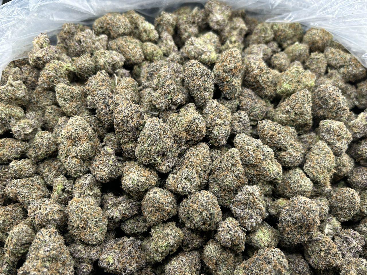 BLUE CHERRY NERDZ ZUP#4447