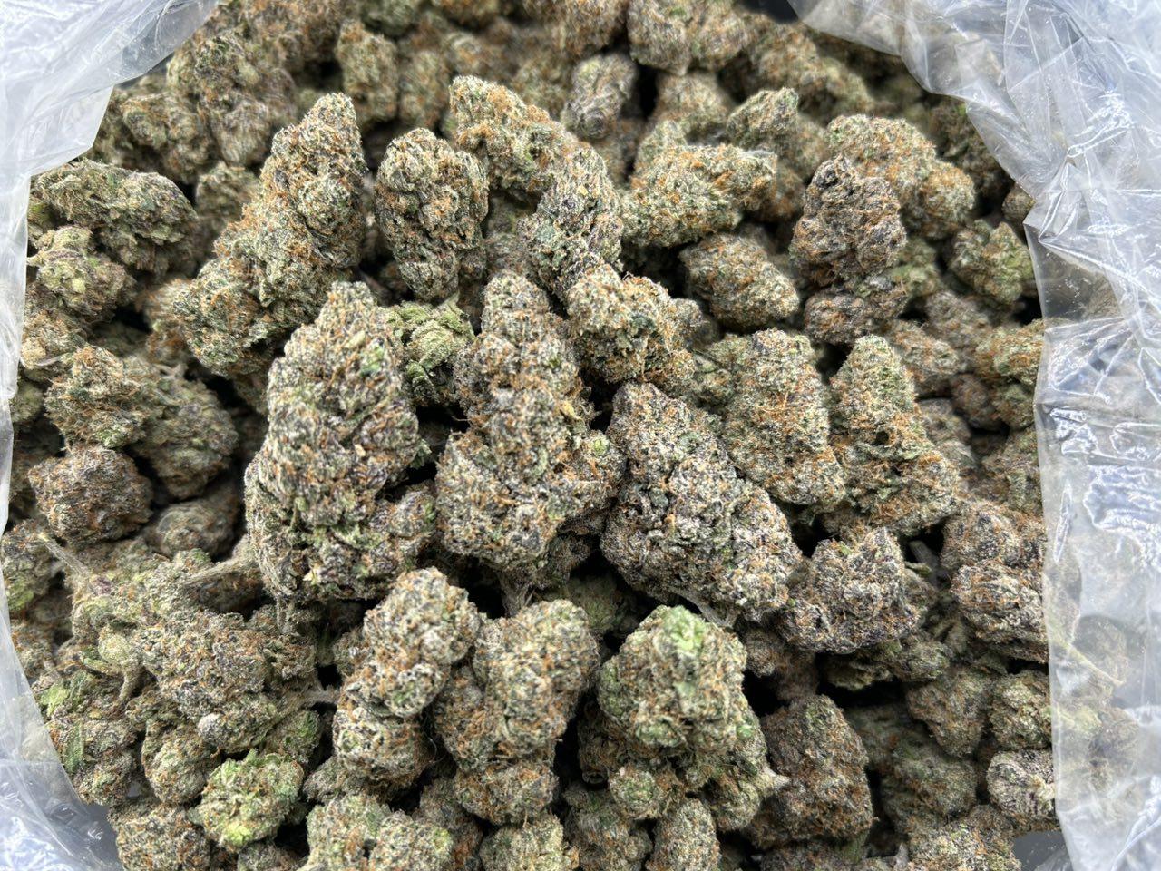 CHERRY GUSHERZ ZUP#4455