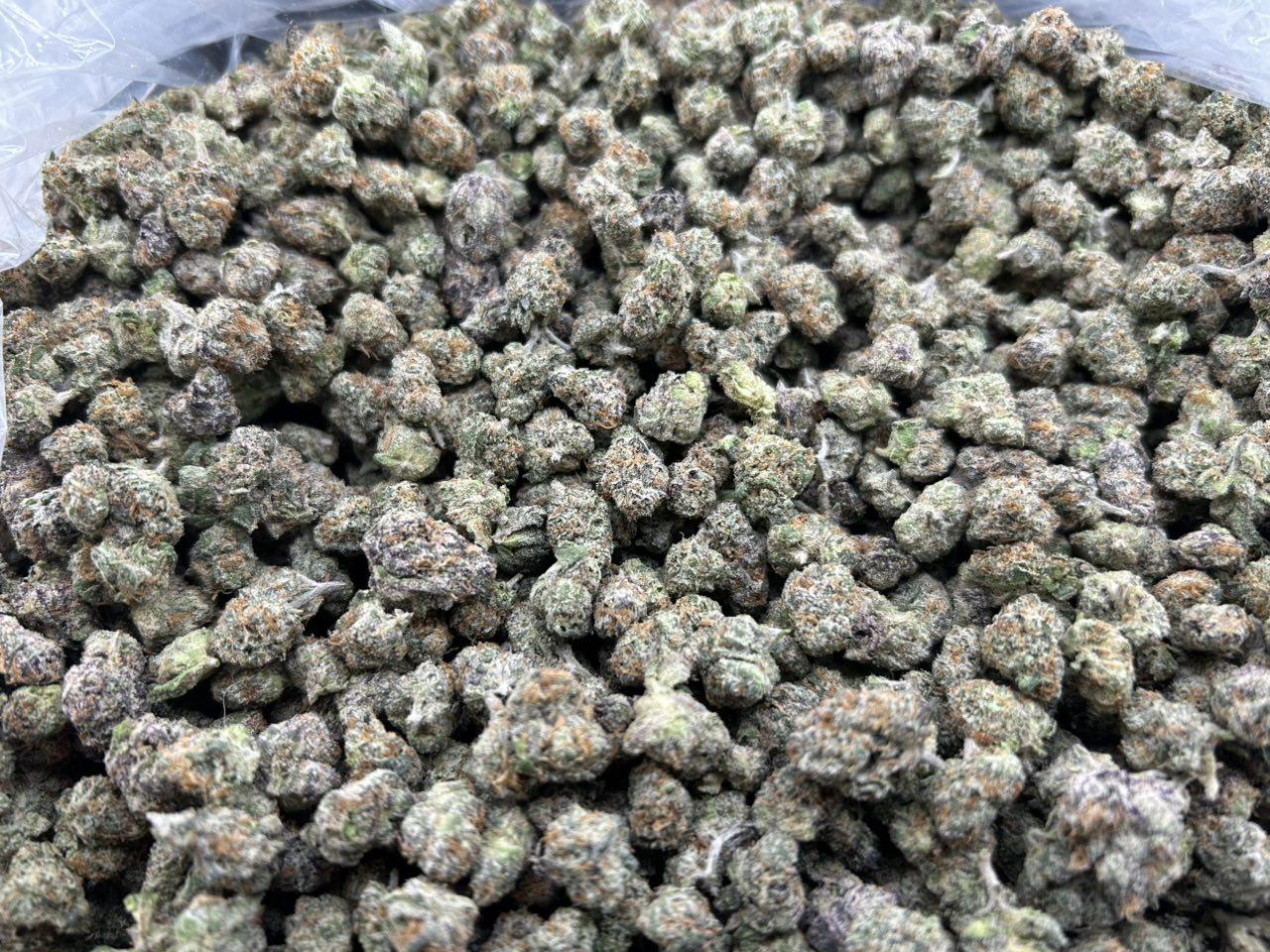 ICE BREAKER SMALLS ZUP#4456