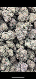 GELATO 41 #4497
