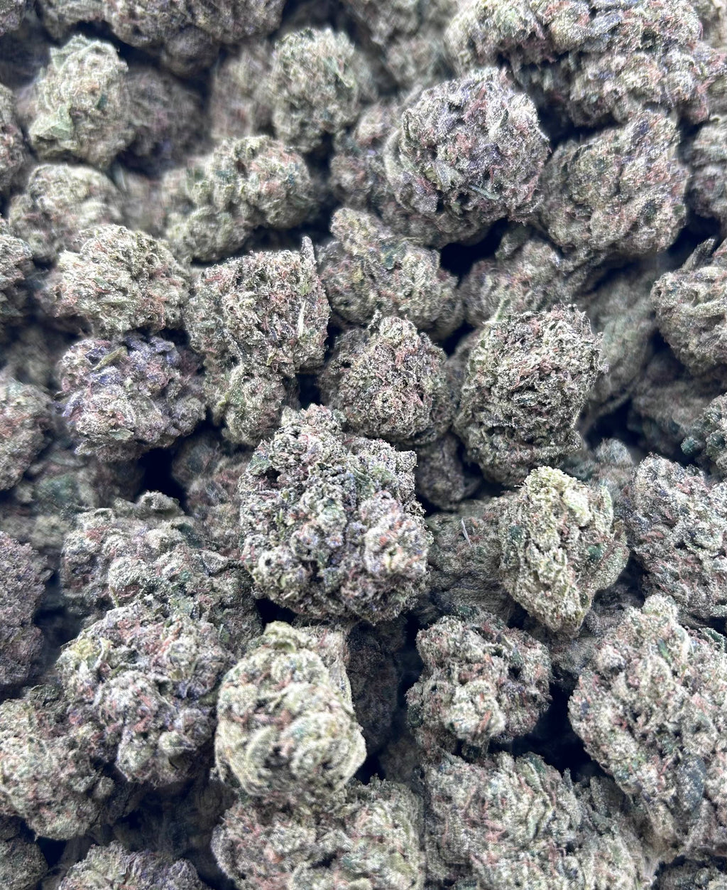 BLUEBERRY BOMBPOP ZUP#4514