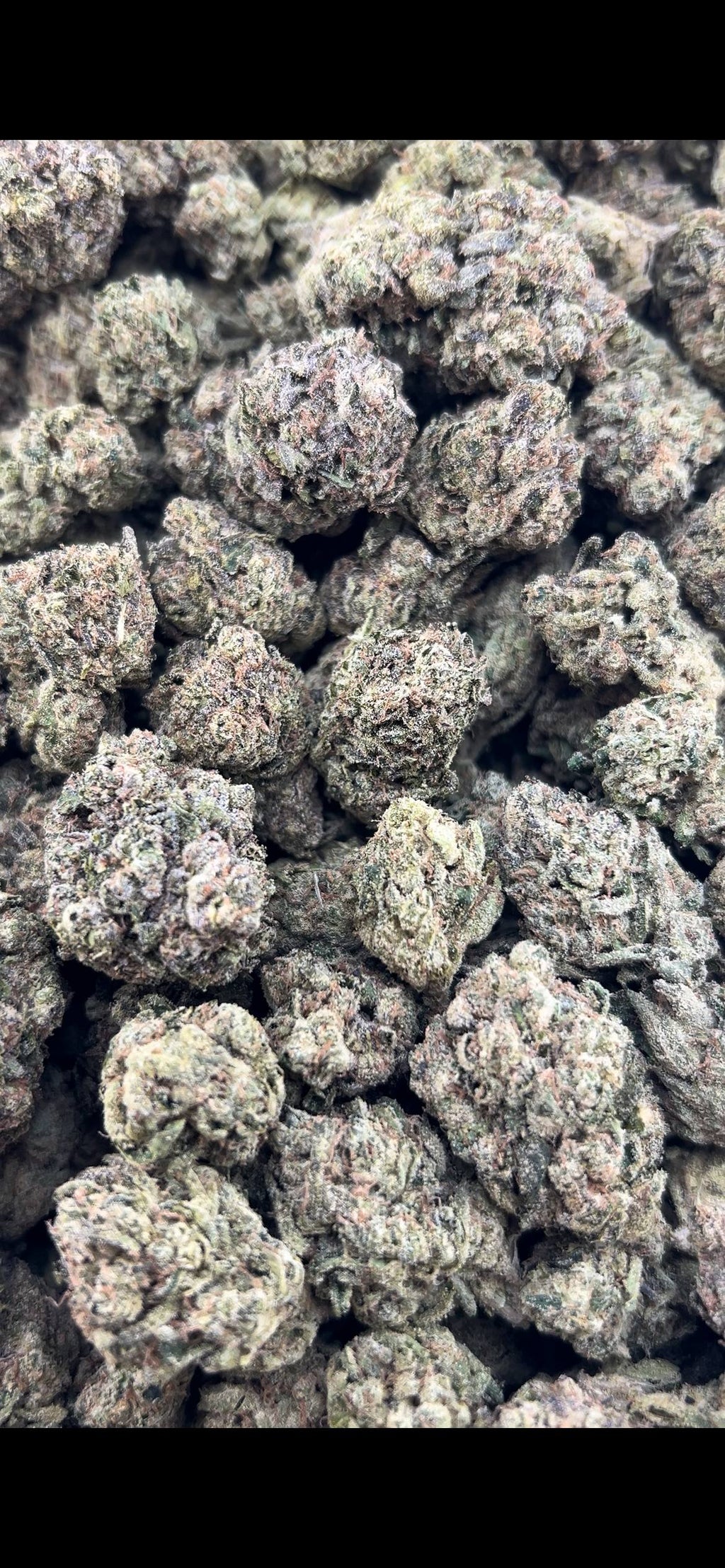 BLUEBERRY BOMBPOP ZUP#4514