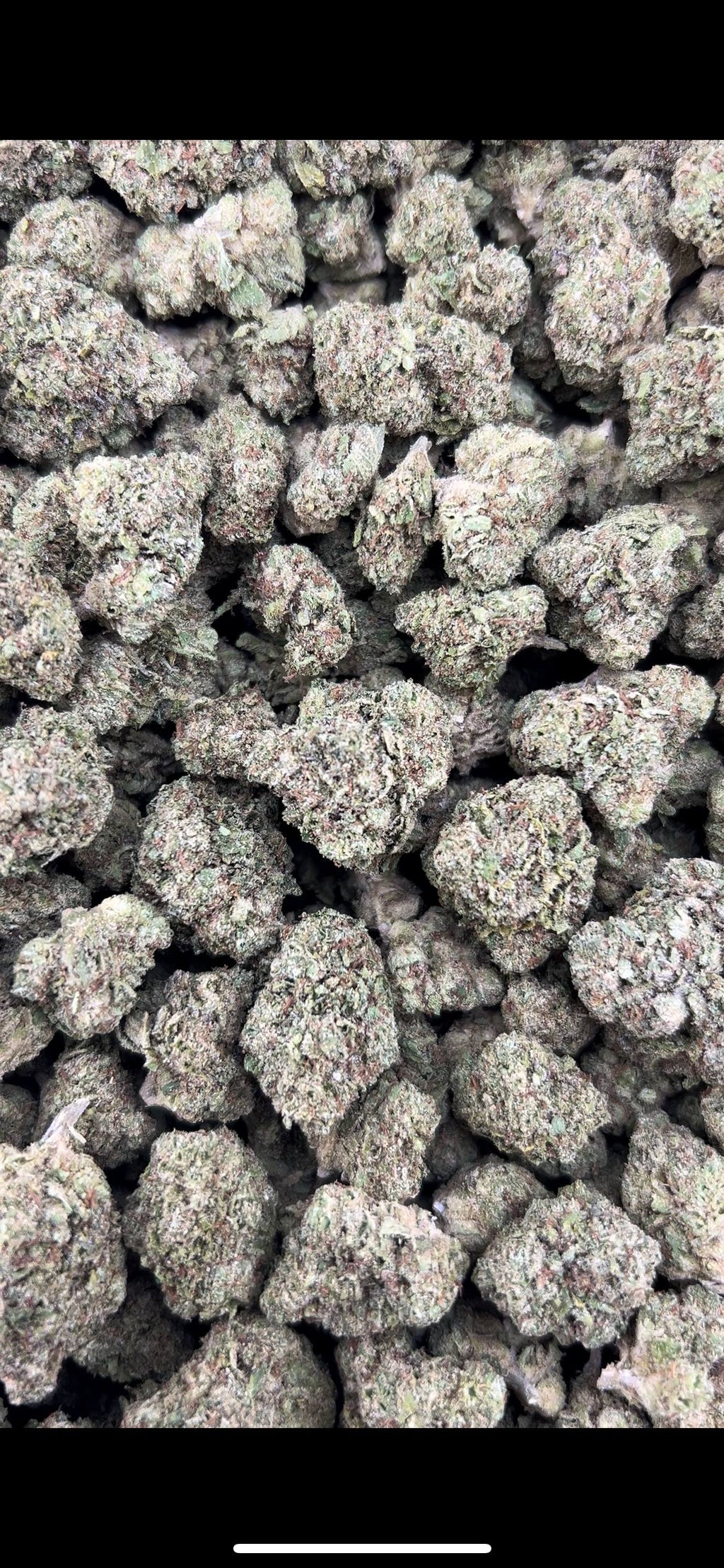 RAINBOW GUMMIEZ ZUP#4521