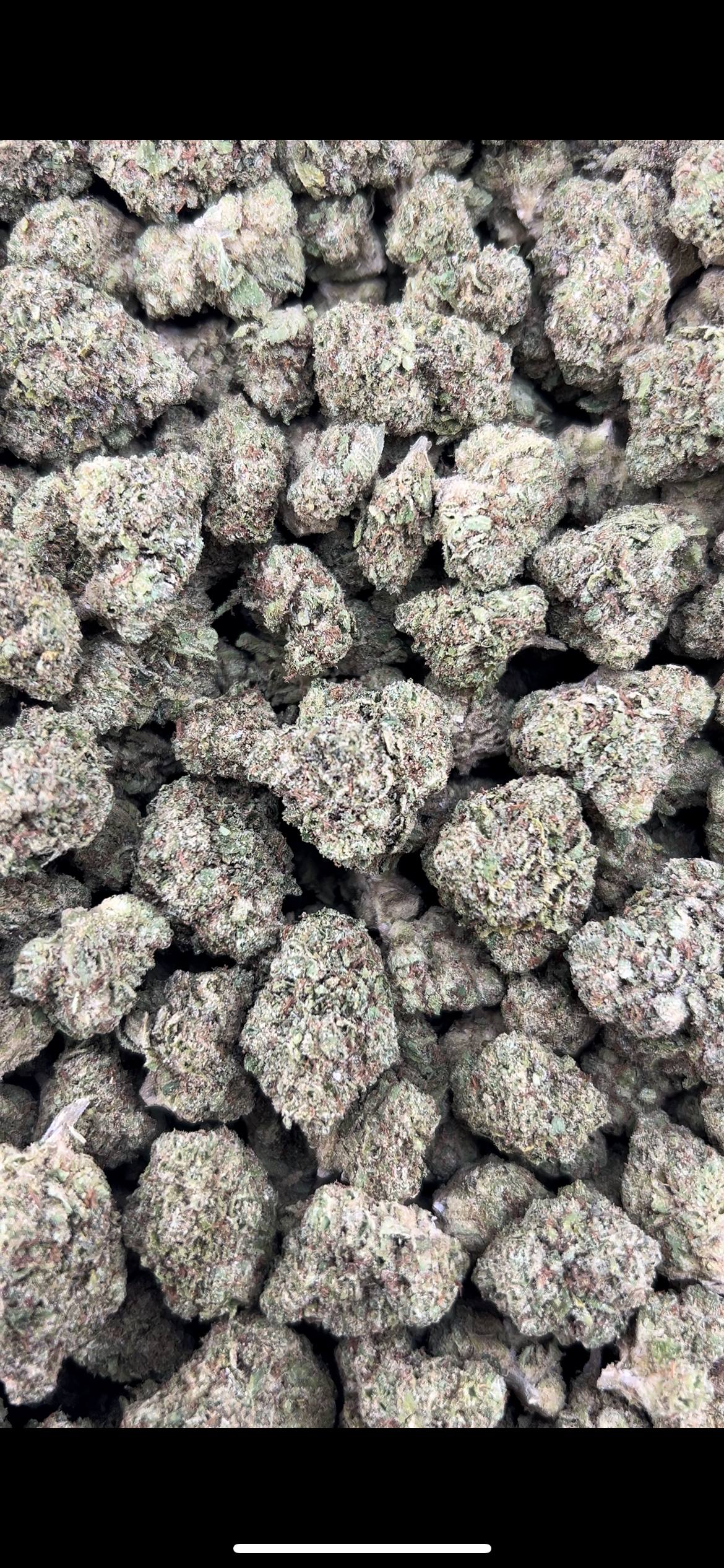 RAINBOW GUMMIEZ ZUP#4521