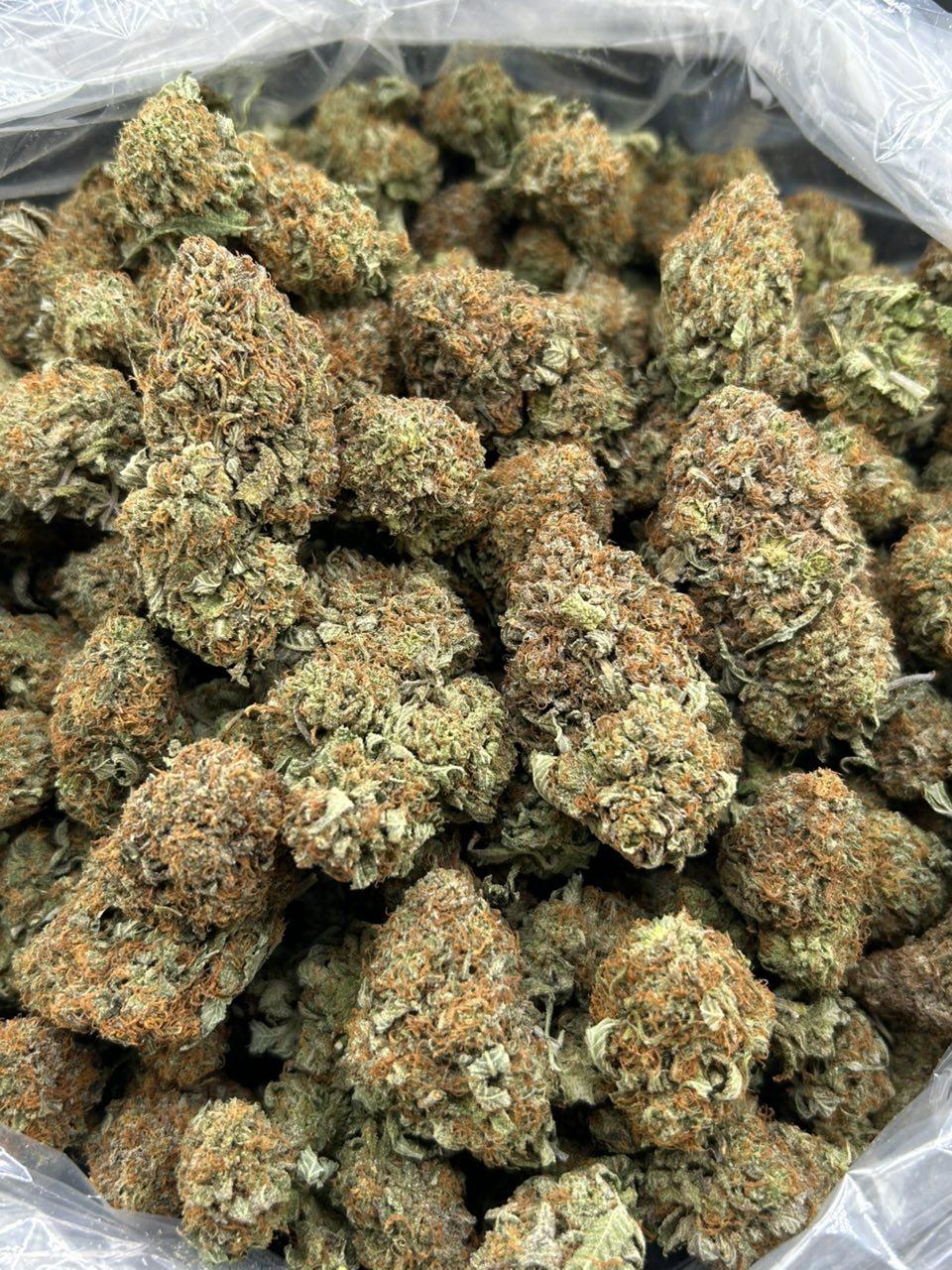 PLATINUM PLATTER ZUP#4530