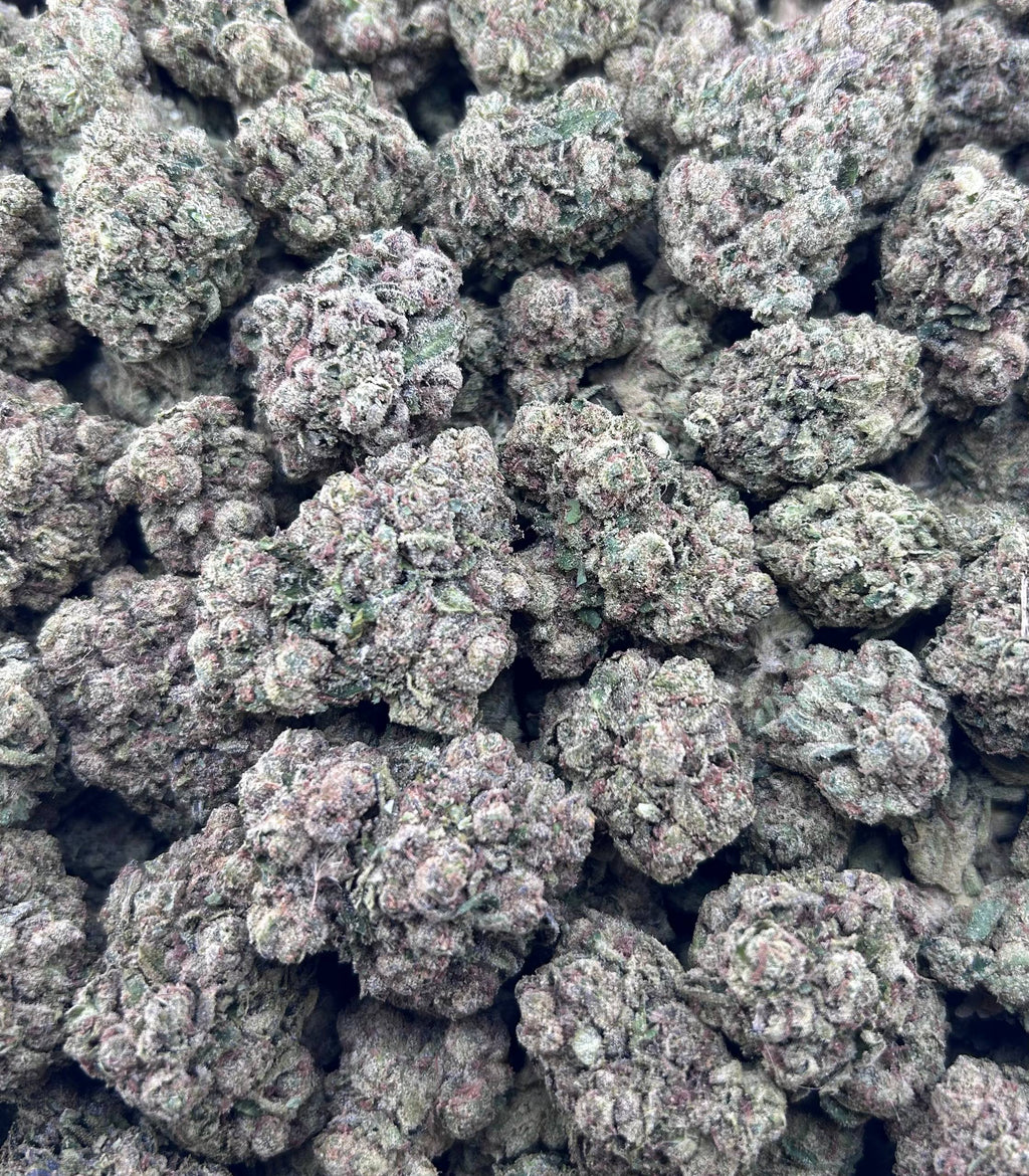 FROZEN BLUEBERRIEZ ZUP#4537