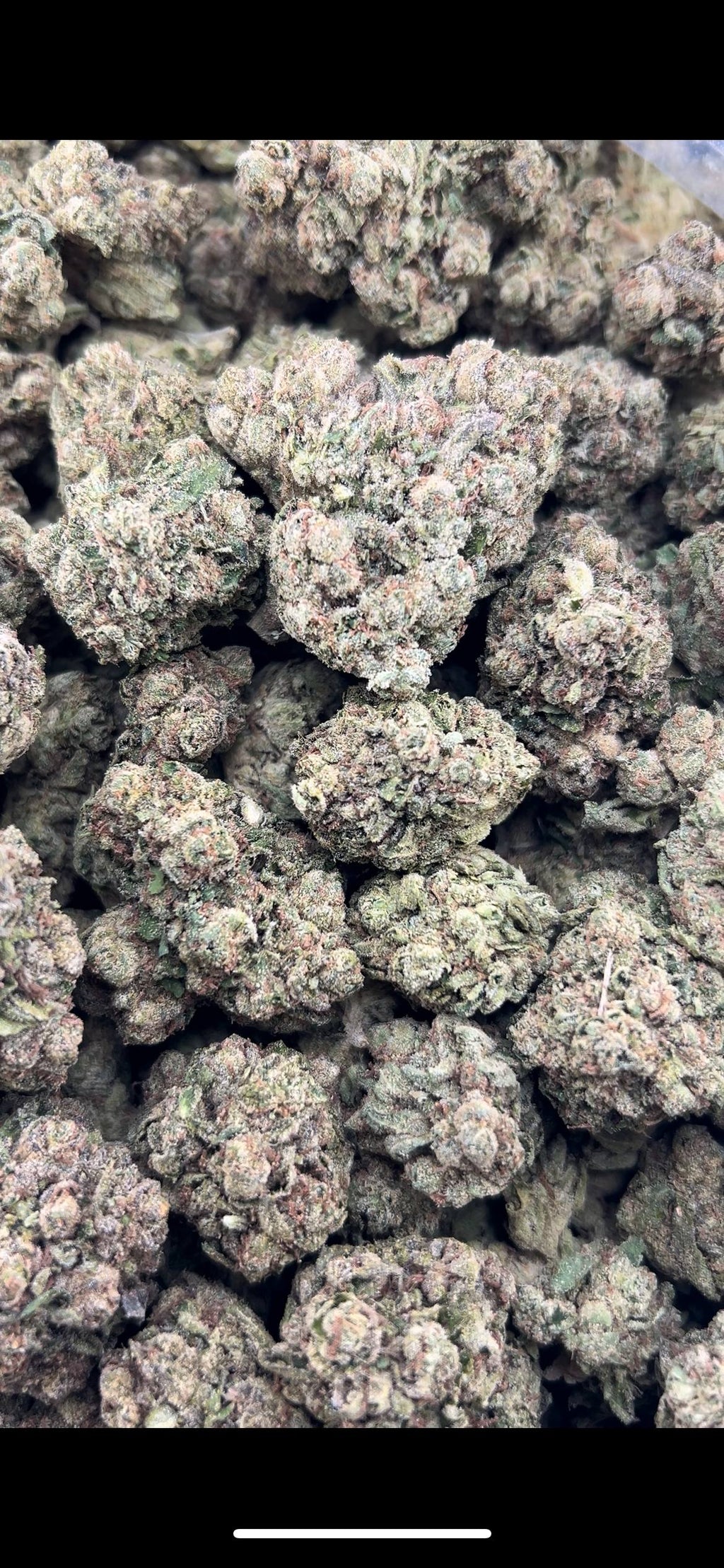 FROZEN BLUEBERRIEZ ZUP#4537