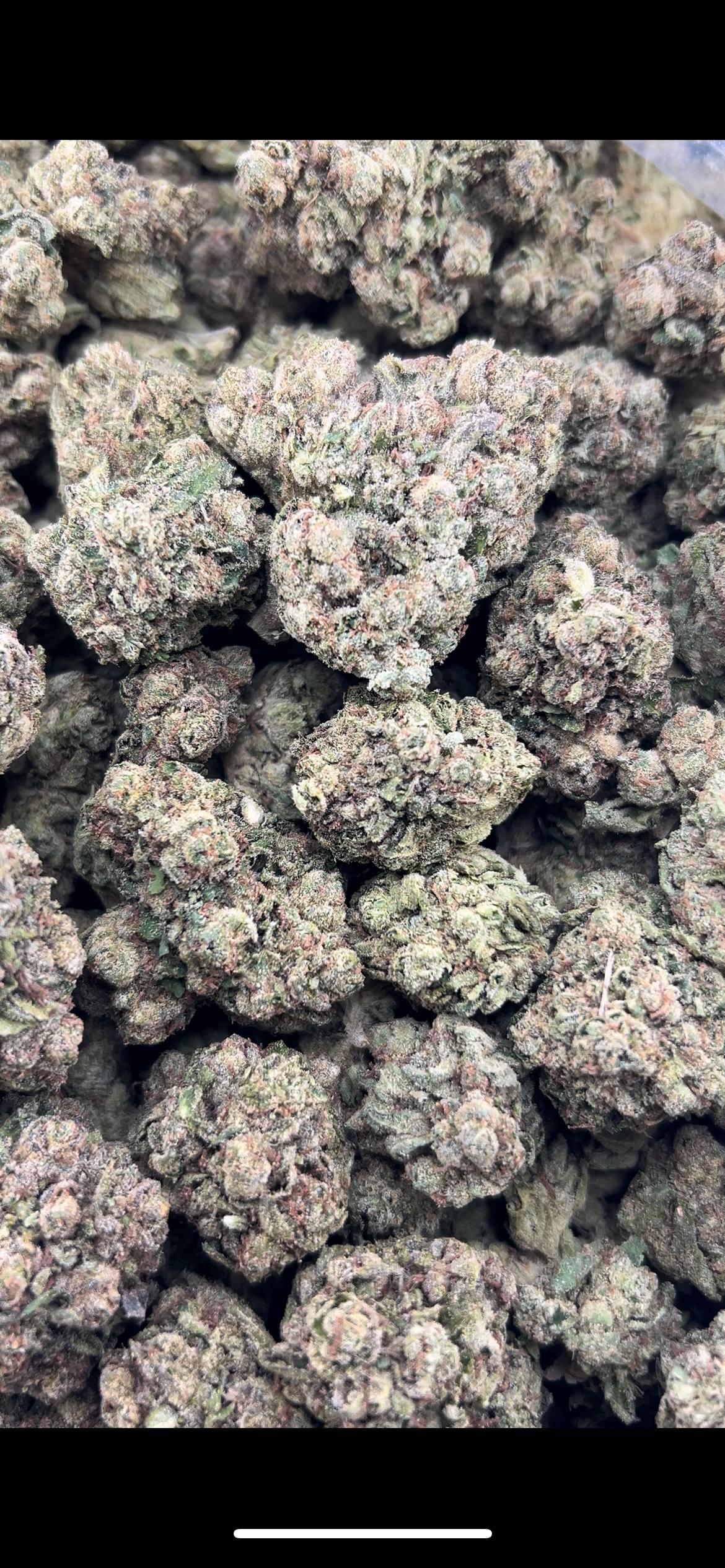 FROZEN BLUEBERRIEZ ZUP#4537
