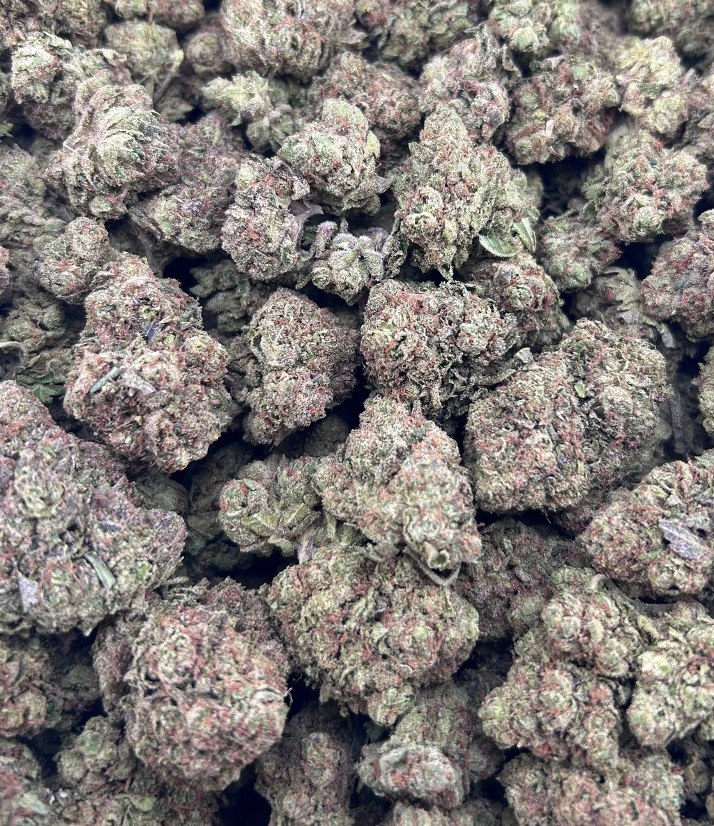 PINK PANTIEZ ZUP#4542